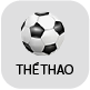 thethao1